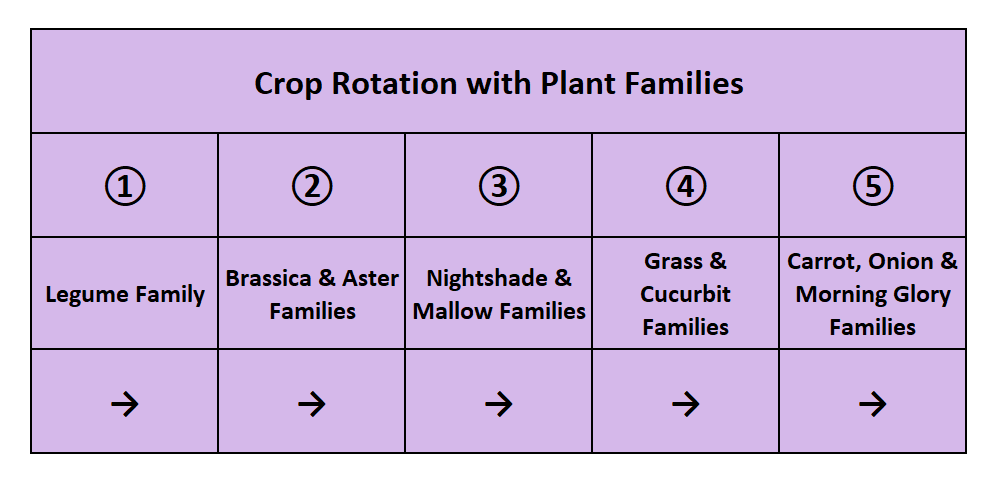 Crop Rotation By Plant Families Crazy For Gardening