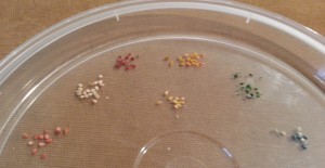 Color coded cherry tomato seeds