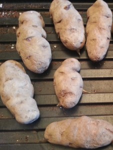 Potato Fingerling