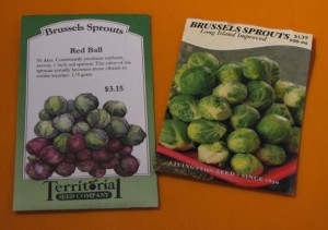 Brussels Sprouts that I am growing in 2015