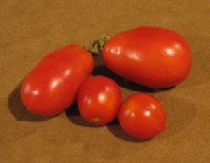 Roma Tomatoes (see the two on top) 