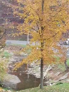 Ate by the Creek in Moundsville