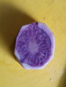 The Blue/Purple Flesh of an All Blue Potatoe