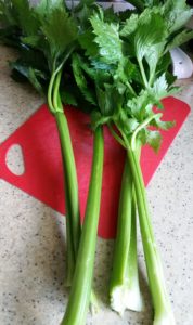 Harvested Celery Stalks
