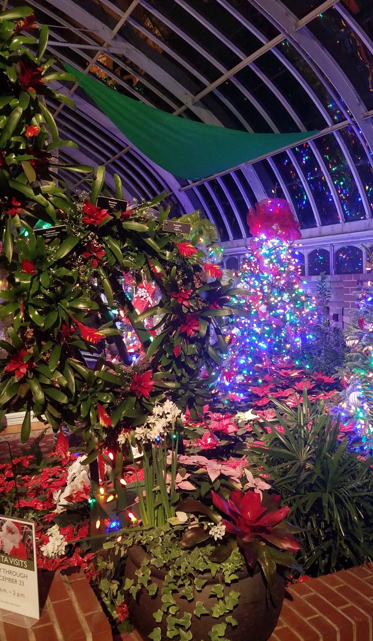 Christmas at Phipps Indoors Crazy for Gardening