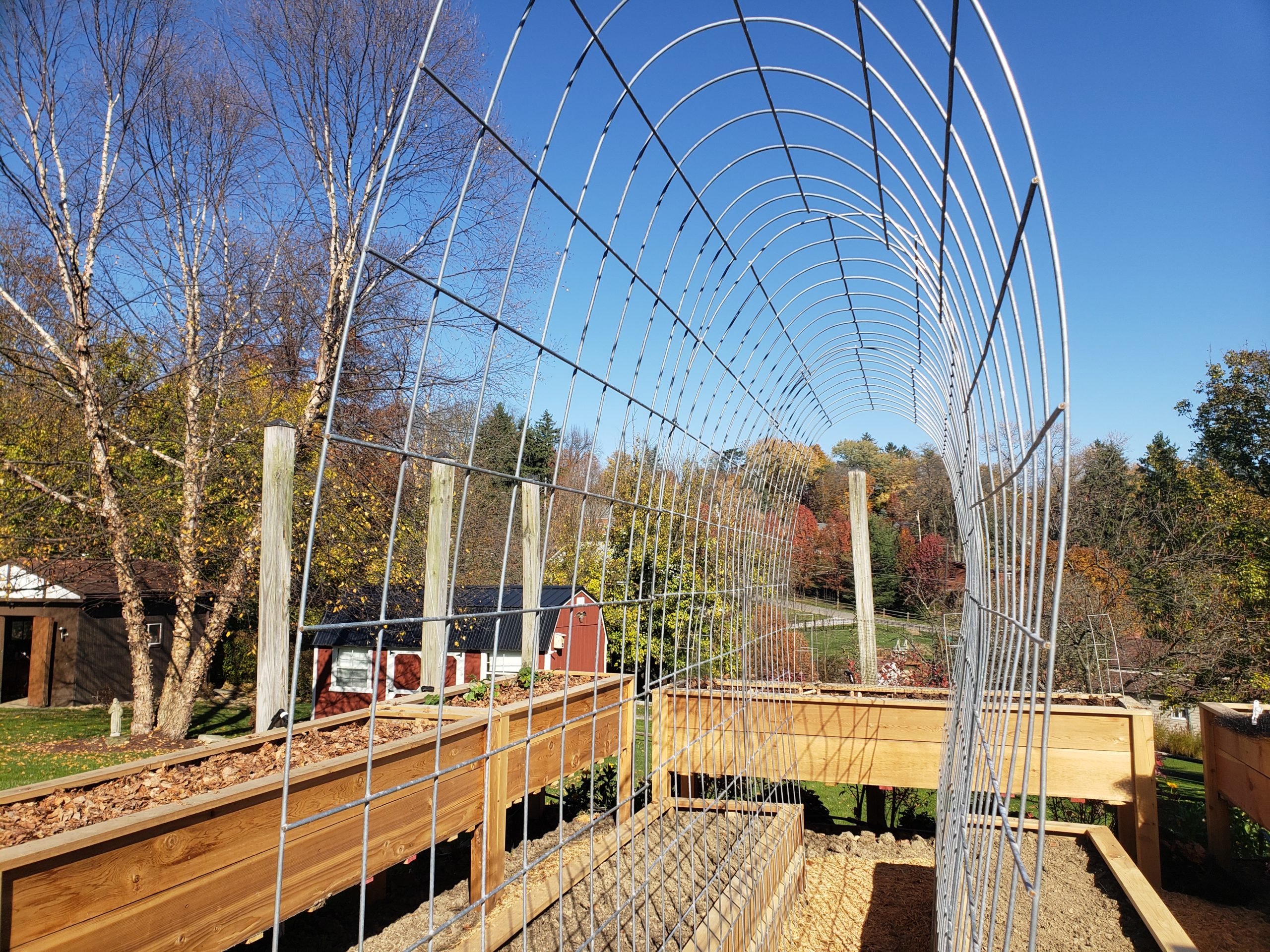 Trellis Tunnel Crazy for Gardening