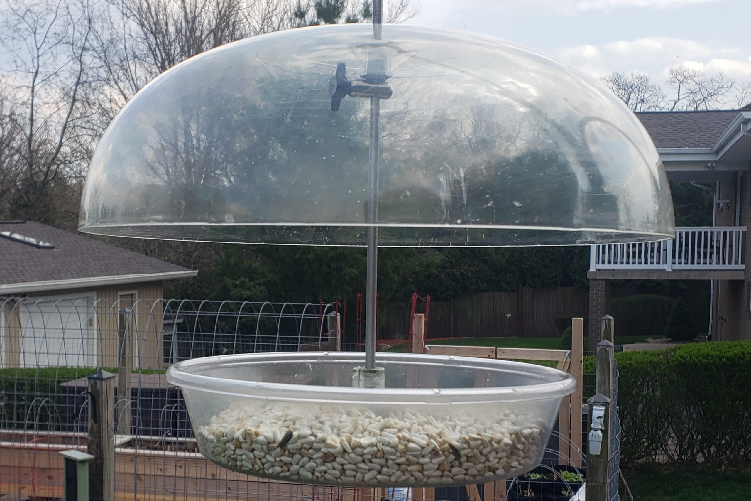 Clear Dome Feeder – Crazy for Gardening