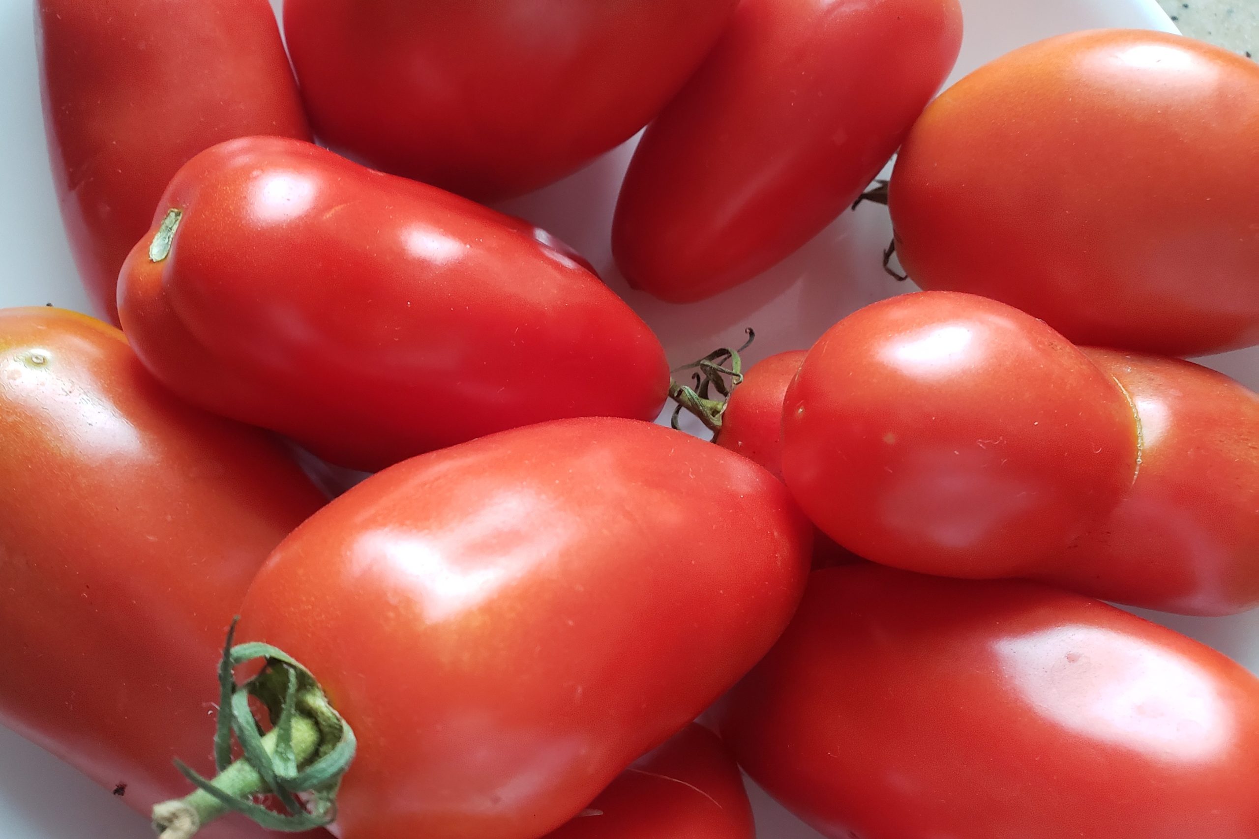 Seed Ideas for Roma Tomatoes Crazy for Gardening