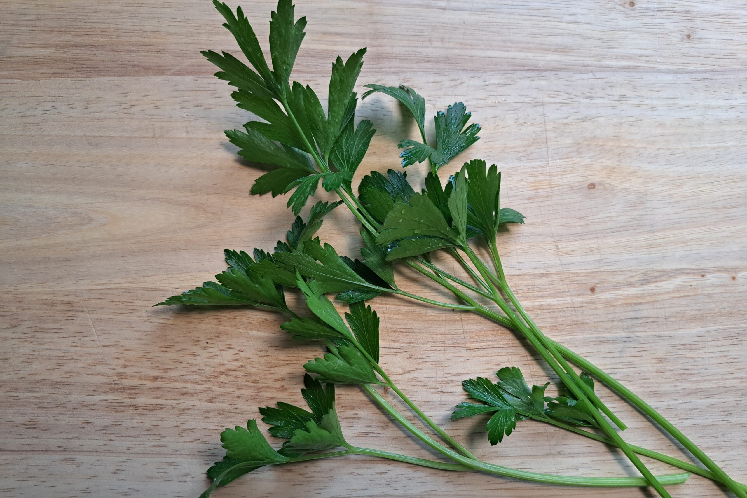 Harvest and Store Parsley – Crazy for Gardening