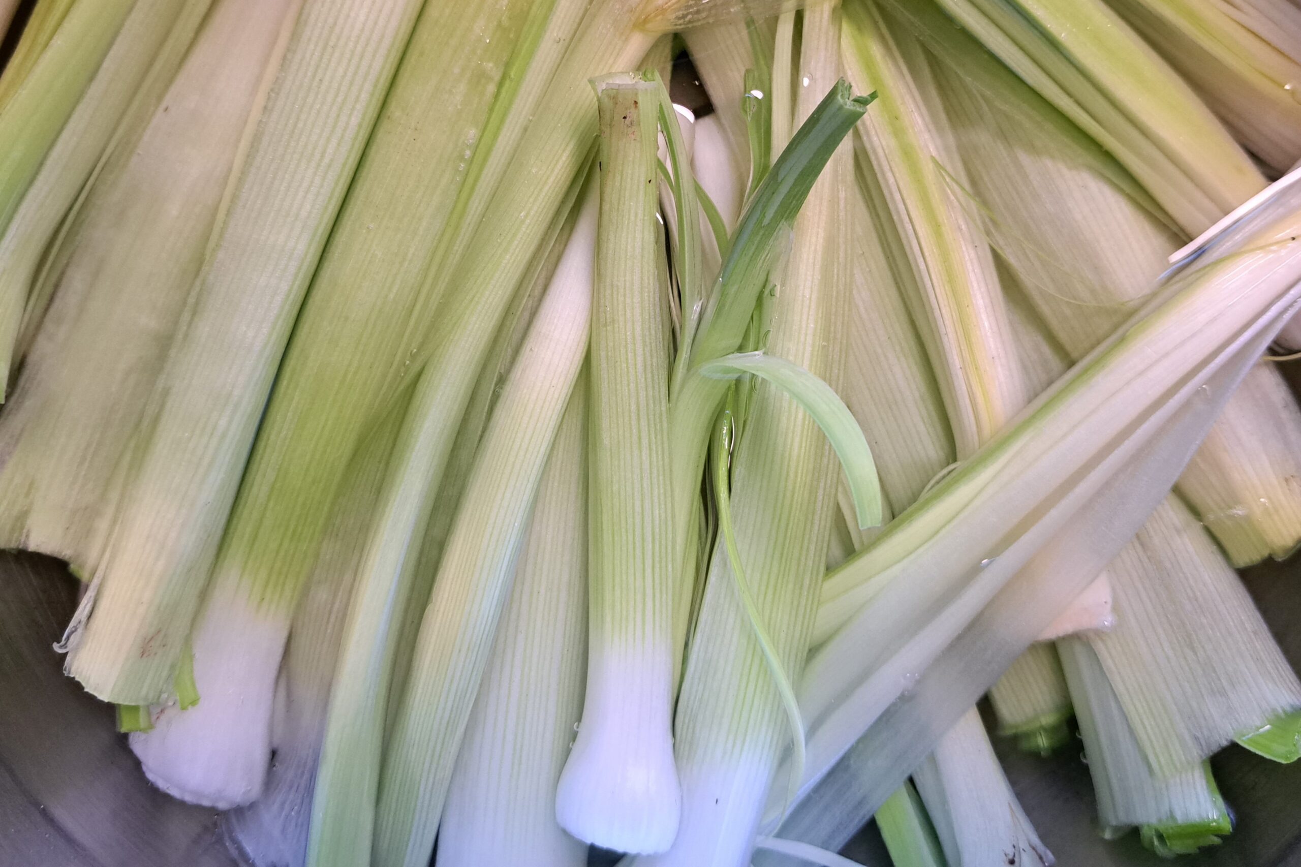 nutrition-information-for-leeks-crazy-for-gardening